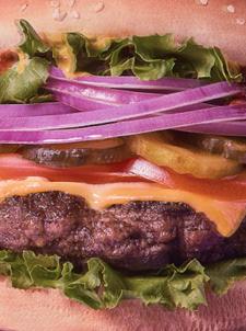 Heather-Gilmour-Burger_049_Funky-1-scaled-e1749744105210.jpg